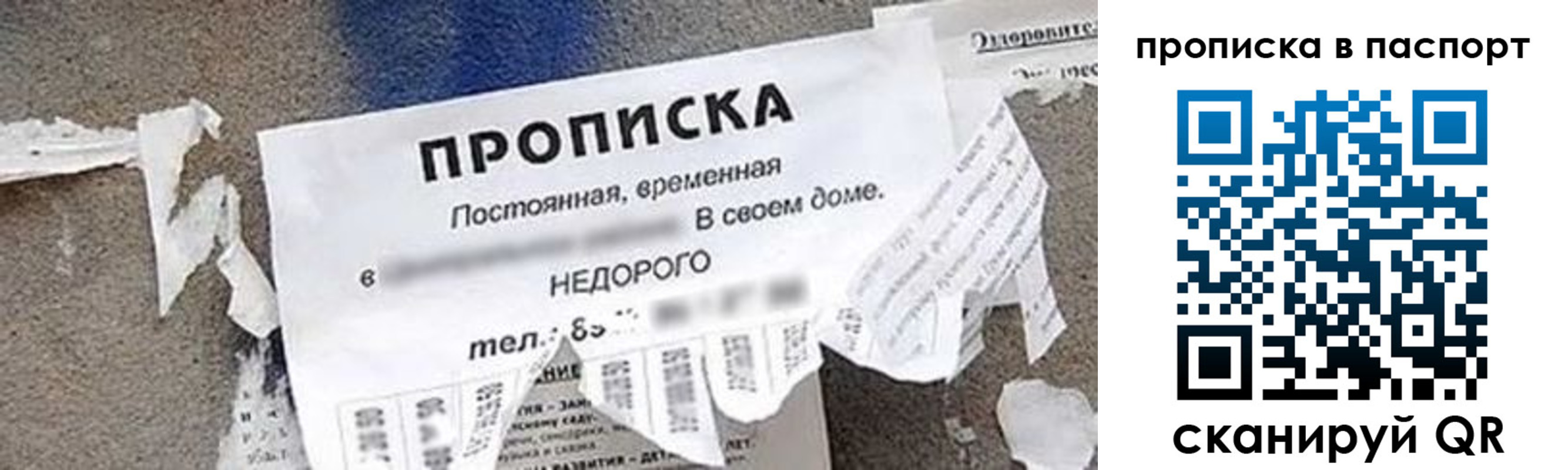 где прописаться в Фрязино
